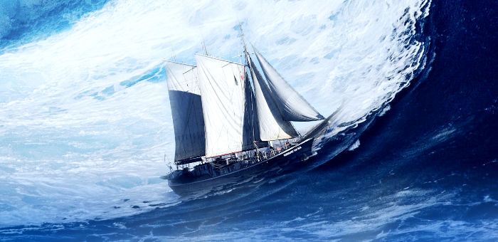 河南信金数据科技集团 - 企业文化